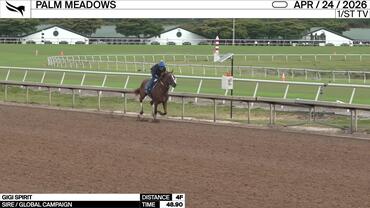 Gigi Spirit Worked 4 Furlongs in 48.90 at Palm Meadows on April 24th, 2026