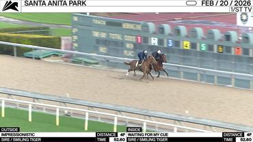 Impressionistic (Outside) and Waiting for My Cue Worked 4 Furlongs in 52.60  at Santa Anita Park on February 20th, 2026