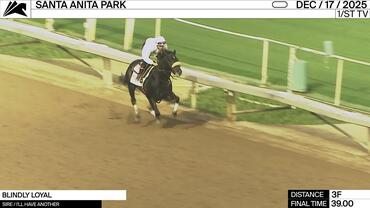 Blindly Loyal Worked 3 Furlongs in 39.00 at Santa Anita Park on December 17th, 2025