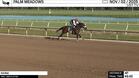 Kiona Worked 4 Furlongs in 49.45 at Palm Meadows on November 2nd, 2025