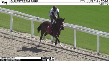 Kissed by Karma Worked 4 Furlongs in 52.33 at Gulfstream Park on June 14th, 2026