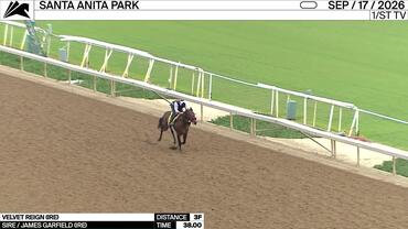 Velvet Reign Worked 3 Furlongs in 38.00 at Santa Anita Park on September 17th, 2026