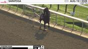 Counting Stars Worked 4 Furlongs in 48.93 at Saratoga on August 12th, 2026