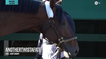Anothertwistafate Prepares for the Preakness Stakes on May 15th, 2019