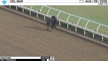 Darlin Tami Worked 5 Furlongs in 59.40 at Del Mar on August 28th, 2026