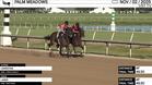 Carentan (Outside) and Laser Worked 4 Furlongs in 49.30 at Palm Meadows on November 2nd, 2025