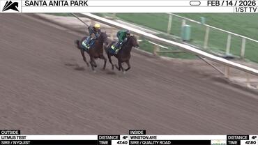 Litmus Test (Outside) and Winston Ave Worked 4 Furlongs at Santa Anita Park on February 14th, 2026