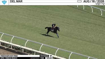 Freedom's Not Free Worked 5 Furlongs in 1:01.20 at Del Mar on August 16th, 2026