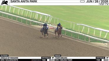 Oracle of Paradise (Outside) and Tiger Smiling Worked 4 Furlongs in 48.00 at Santa Anita Park on June 28th, 2026