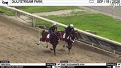 King Soul (Outside) and an Unnamed Horse out of the Dam Alexandrite Worked 3 Furlongs in 38.88 at Gulfstream Park on September 19th, 2026