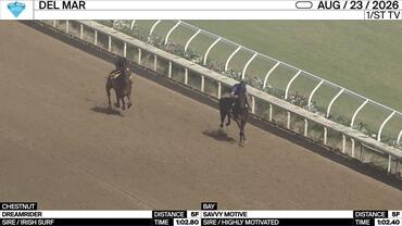 Dreamrider (Chestnut) and Savvy Motive Worked 5 Furlongs at Del Mar on August 23rd, 2026