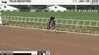 Napoleon Solo Worked 4 Furlongs in 49.05 at Palm Meadows on January 28th, 2026