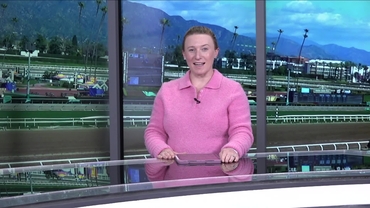 Preview of The Pasadena Stakes on Feb 22nd 2026