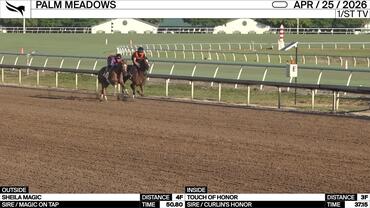 Sheila Magic (Outside) and Touch of Honor Worked at Palm Meadows on April 25th, 2026