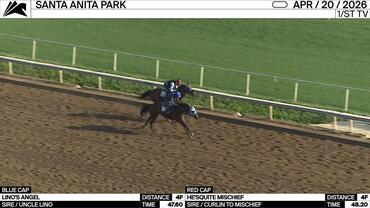 Lino's Angel (Blue Cap) and He'squite Mischief Worked 4 Furlongs at Santa Anita Park on April 20th, 2026