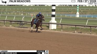 Langvad Worked 3 Furlongs in 37.35 at Palm Meadows on February 27th, 2026