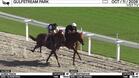 Gunna Vision (Outside) and Fast Destination Worked 4 Furlongs at Gulfstream Park on October 11th, 2026