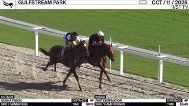 Gunna Vision (Outside) and Fast Destination Worked 4 Furlongs at Gulfstream Park on October 11th, 2026