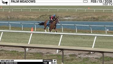 Miso Spicy Worked 4 Furlongs in 49.40 at Palm Meadows on February 13th, 2026