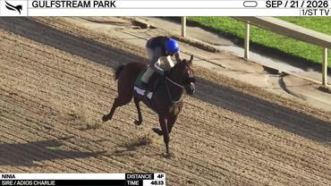 Ninia Worked 4 Furlongs in 48.13 at Gulfstream Park on September 21st, 2026