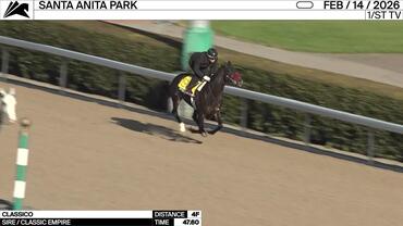 Classico Worked 4 Furlongs in 47.60 at Santa Anita Park on February 14th, 2026