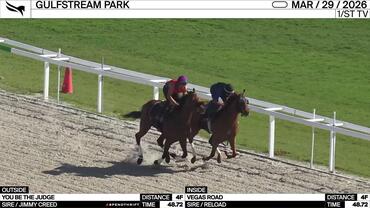 You Be the Judge (Outside) and Vegas Road Worked 4 Furlongs in 48.72 at Gulfstream Park on March 29th, 2026