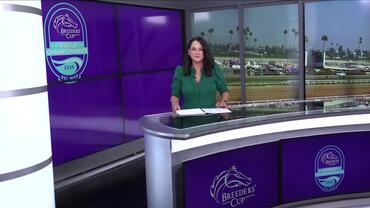 Preview of The Breeders' Cup Juvenile Turf on October 31st, 2025