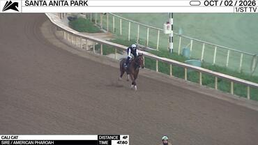 Cali Cat Worked 4 Furlongs in 47.60 at Santa Anita Park on October 2nd, 2026