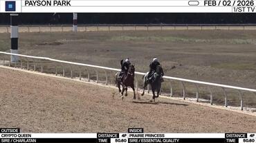 Crypto Queen (Outside) and Prairie Princess Worked 4 Furlongs in 50.60 at Payson Park on February 2nd, 2026
