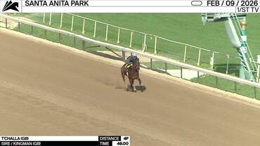 T'Challa Worked 4 Furlongs in 49.00 at Santa Anita Park on February 9th, 2026