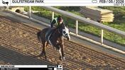 Smiling Rosie Worked 4 Furlongs in 49.86 at Gulfstream Park on February 5th, 2026