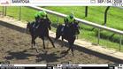 Jack's World (Outside) and Save Us Melania Worked at Saratoga on September 4th, 2026