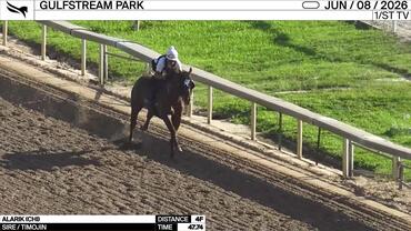 Alarik Worked 4 Furlongs in 47.74 at Gulfstream Park on June 8th, 2026