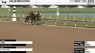 Hawk (Outside) and Law of One Worked 3 Furlongs in 37.65 at Palm Meadows on November 2nd, 2025