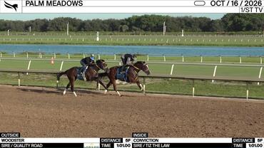 Woodster (Outside) and Conviction Worked 5 Furlongs in 1:01.00 at Palm Meadows on October 16th, 2026