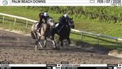 Elgheed (Outside) and Authentic Chance Worked 4 Furlongs in 48.61 at Palm Beach Downs on February 7th, 2026