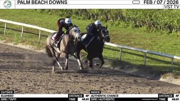 Elgheed (Outside) and Authentic Chance Worked 4 Furlongs in 48.61 at Palm Beach Downs on February 7th, 2026