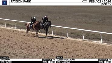 Miss Taro (Outside) and Collective Bargain Worked 4 Furlongs in 50.20 at Payson Park on February 2nd, 2026