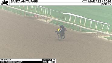 Hypergamy Worked 4 Furlongs in 48.20 at Santa Anita Park on March 22nd, 2026