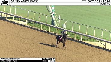 Dramaticattraction Worked 3 Furlongs in 37.60 at Santa Anita Park on October 2nd, 2026