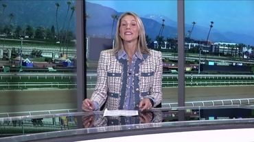 Preview of The Buena Vista Stakes on Feb 28th 2026