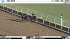 Itinerary (Outside) and Go Ralph Worked 4 Furlongs in 50.00 at Del Mar on August 29th, 2026