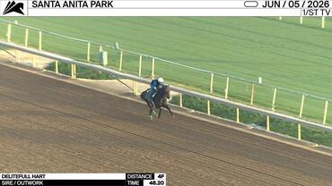 Delitefull Hart Worked 4 Furlongs in 48.20 at Santa Anita Park on June 5th, 2026