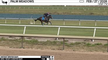 Distant Winter Worked 3 Furlongs in 38.75 at Palm Meadows on February 27th, 2026