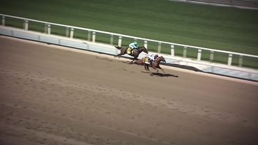 Will Do One (Omaha Beach - Spendthrift)(Blinkers)_Wildcatter (Tapit)(Black Sleeves)_Lubies Prince (Girvin)(Black Vest)_Richard Mandella_SA_260614