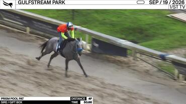 Prism Pool Pat Worked 4 Furlongs in 50.66 at Gulfstream Park on September 19th, 2026