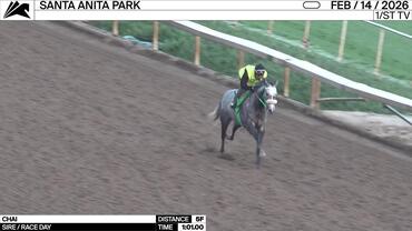 Chai Worked 5 Furlongs in 1:01.00 at Santa Anita Park on February 14th, 2026