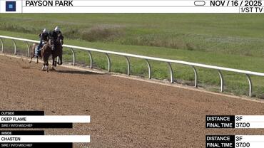 Deep Flame (Outside) and Chasten Worked 3 Furlongs in 37.00 at Payson Park on November 16th, 2025