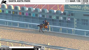 Black Pearl Worked 4 Furlongs in 49.80 at Santa Anita Park on March 9th, 2026