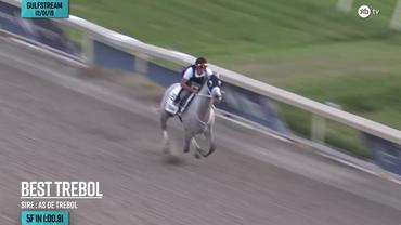 Best Trebol Worked 5 Furlongs in 1:00.91 at Gulfstream Park on December 1st, 2019